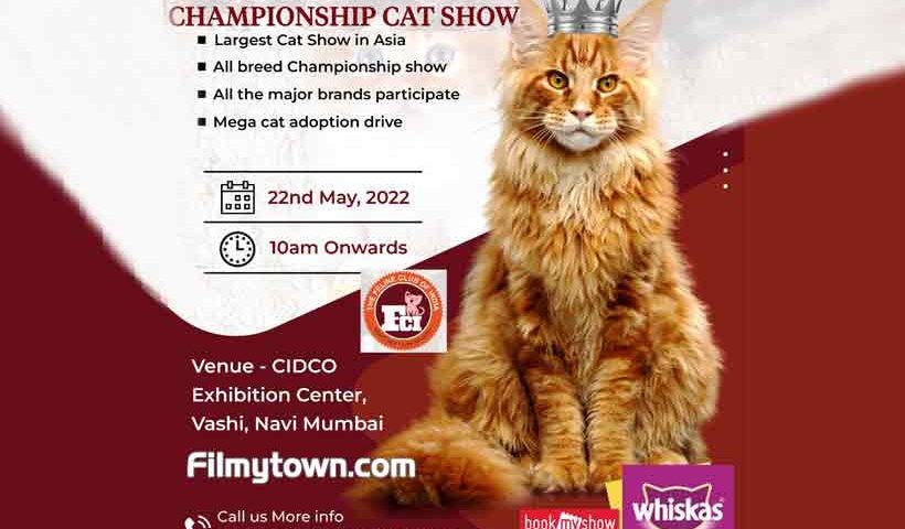 Feline Club of India, MARS Petcare's Championship Cat Show 2022