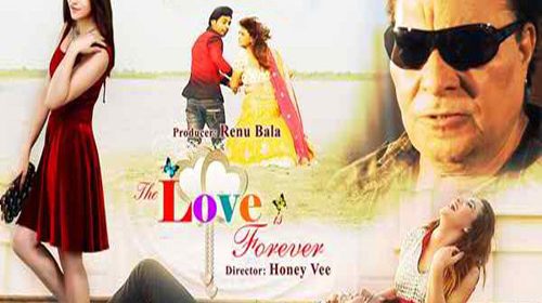 The Love is Forever, hindi movie review