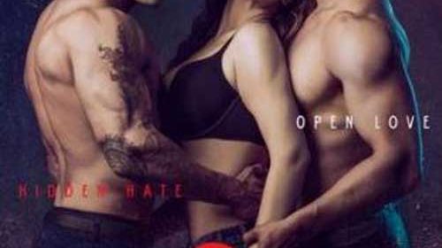 Hate Story 3, movie review